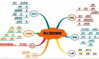 我的植物朋友作文350字