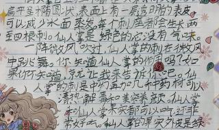 我的植物朋友作文350字